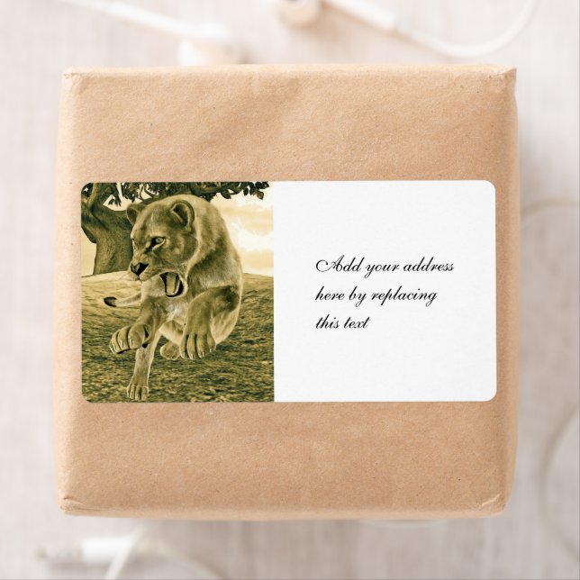 Hunting Lioness (En situation)