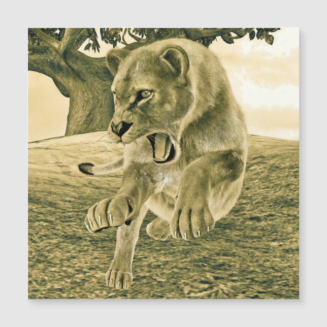 Hunting Lioness (Front)