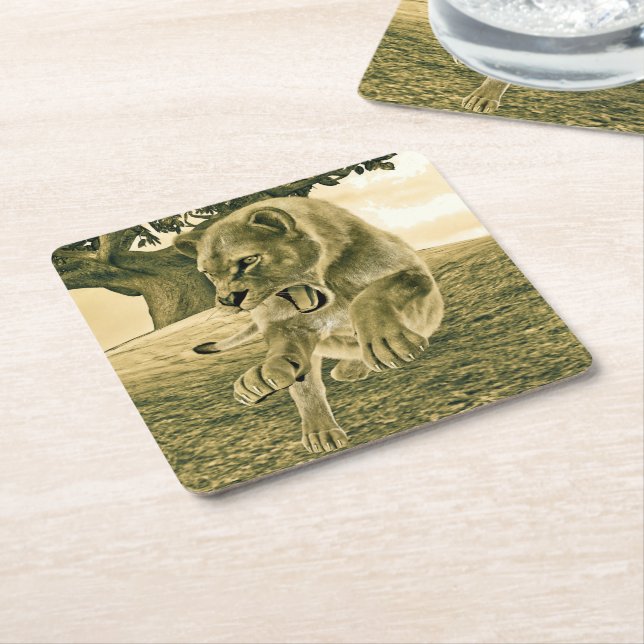 Hunting Lioness Square Paper Coaster (Angled)
