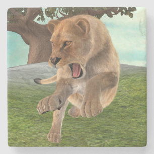 Hunting Lioness Stone Coaster