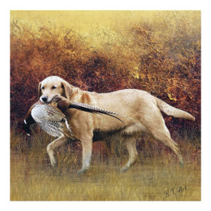 Hunting pheasant, Autumn Faux Canvas Print Acrylic