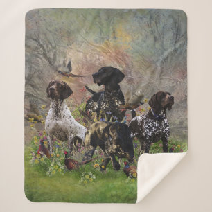 Hunting pheasant  with GSP   Sherpa Blanket