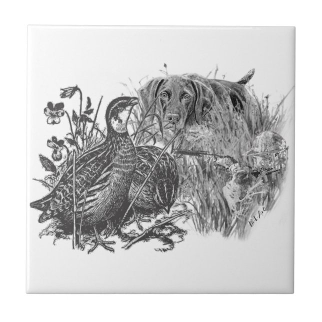 Hunting  quail with hunting dog   tile (Front)
