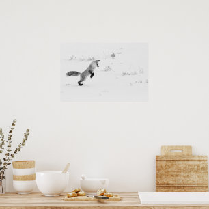 Hunting Red Fox Black And White Photography Poster