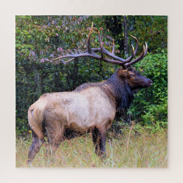 Hunting Season - Bull Elk - 20x20 inch Jigsaw Puzzle (Vertical)