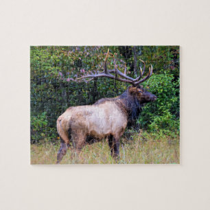 Hunting Season - Bull Elk - 8x10 Jigsaw Puzzle