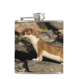 Hunting Weasel Hip Flask