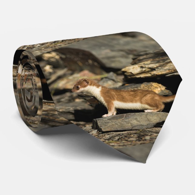 Hunting Weasel Tie (Rolled)