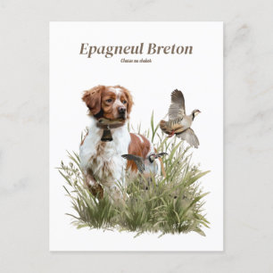 Hunting with a Brittany dog, Art  Holiday Postcard