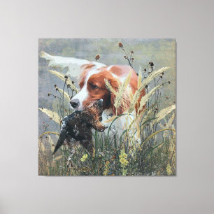 Hunting with Epagneul Breton    Canvas Print