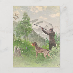 Hunting with German Wirehaired Pointer Postcard