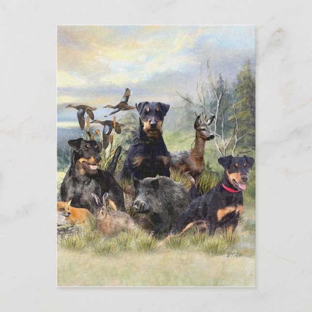 Hunting with Jagdterriers , Art  Holiday Postcard (Front)
