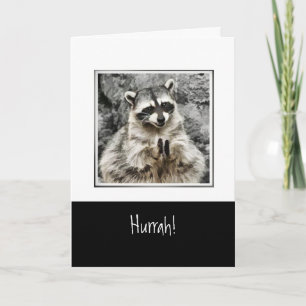 Hurrah!  Cute Raccoon Clapping Funny Animal Art Holiday Card