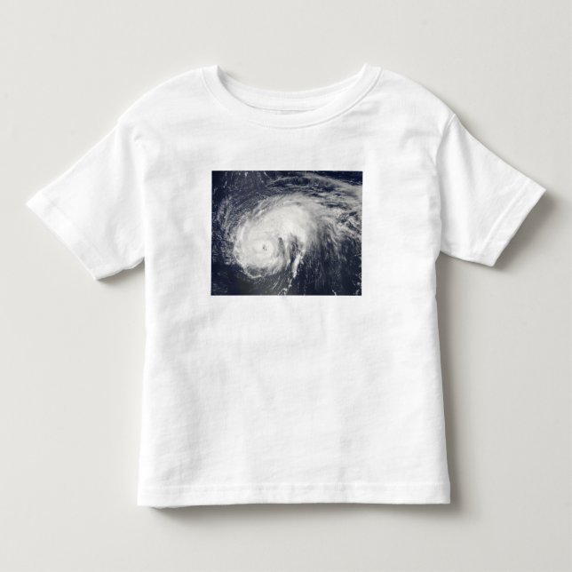 Hurricane Danielle Toddler T-shirt (Front)