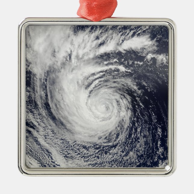 Hurricane Ele Metal Ornament (Front)