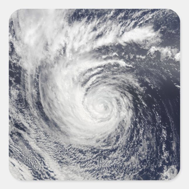 Hurricane Ele Square Sticker (Front)