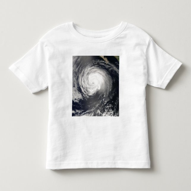 Hurricane Fausto Toddler T-shirt (Front)