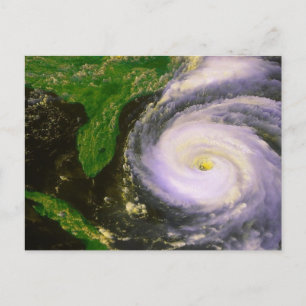 Hurricane Fran, September 1996 Postcard