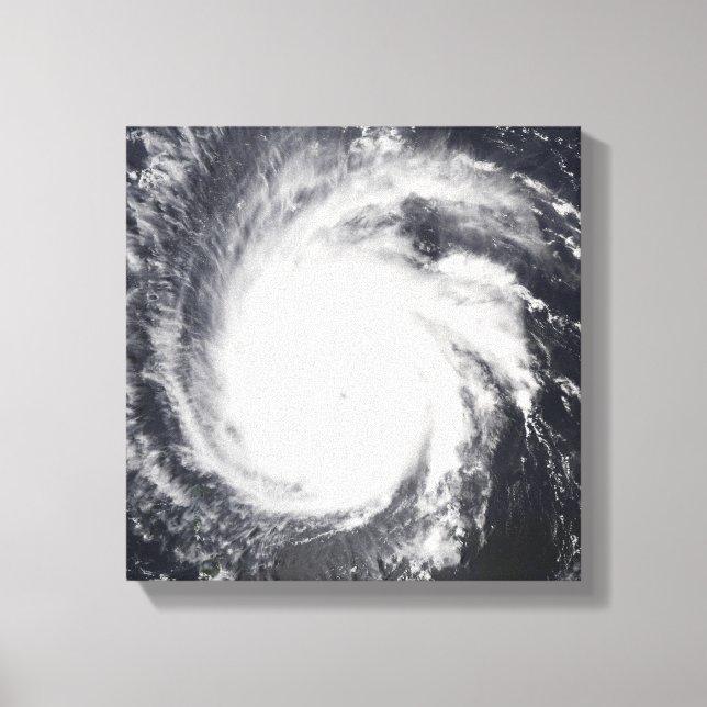 Hurricane Frances Canvas Print (Front)