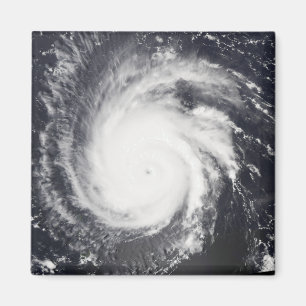 Hurricane Frances Magnet