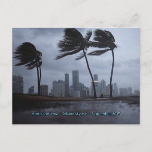 Hurricane Irma Miami skyline Postcard