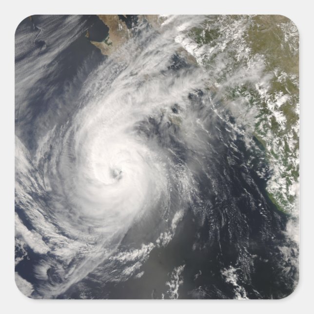 Hurricane Norbert off Mexico 2 Square Sticker (Front)