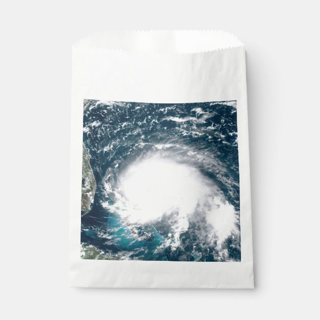 Hurricane off the coast of Florida    Favour Bag (Front)