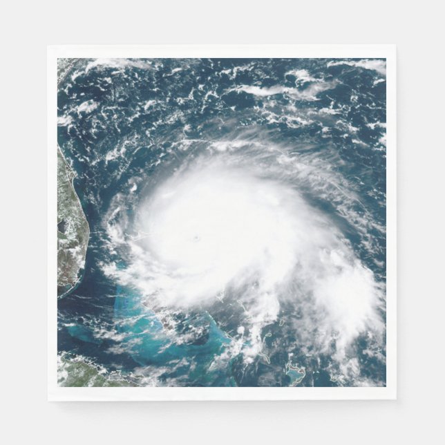 Hurricane off the coast of Florida Paper  Napkin (Front)