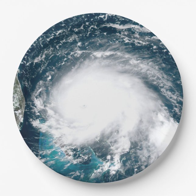 Hurricane off the coast of Florida Paper Plate (Front)