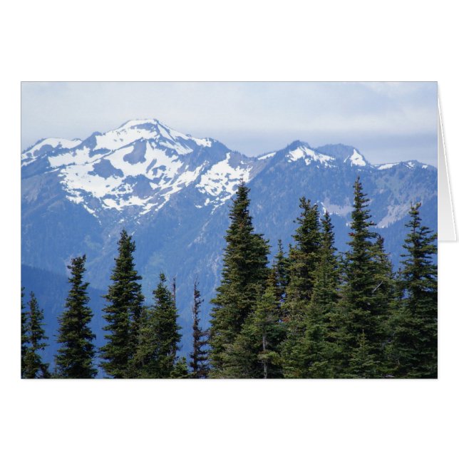 Hurricane Ridge at Olympic National Park (Front Horizontal)