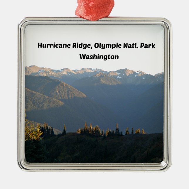 Hurricane Ridge, Olympic National Park, WA Metal Ornament (Front)