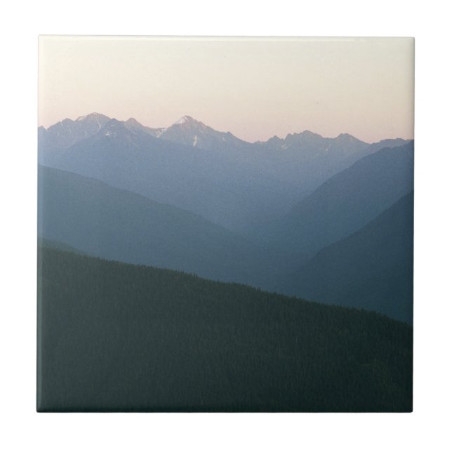Hurricane Ridge Tile (Front)
