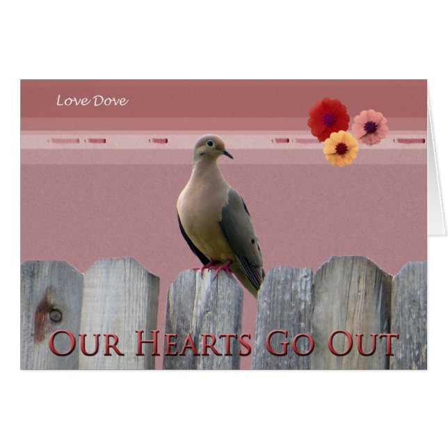 Hurricane Sandy Love Dove (Devant horizontal)
