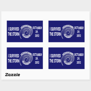 Hurricane Sandy Sticker