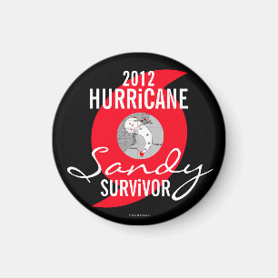 Hurricane Sandy Survivor Magnet 5