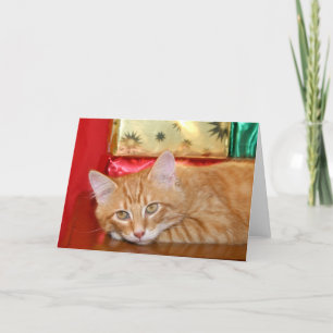 Hurry Christmas Holiday Card