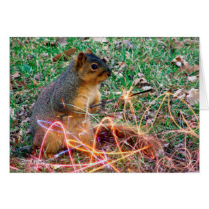 Husband Anniversary Love Squirrel Sparkler