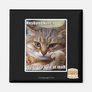 Husband Kitteh Magnet