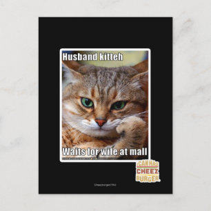 Husband Kitteh Postcard