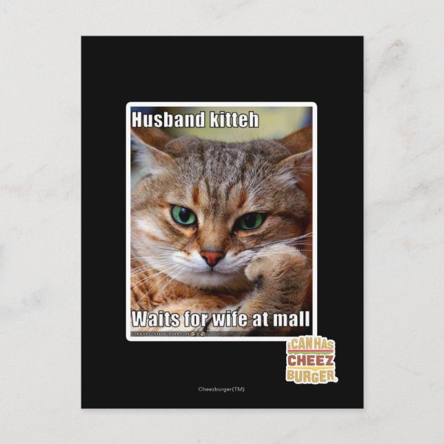 Husband Kitteh Postcard (Front)