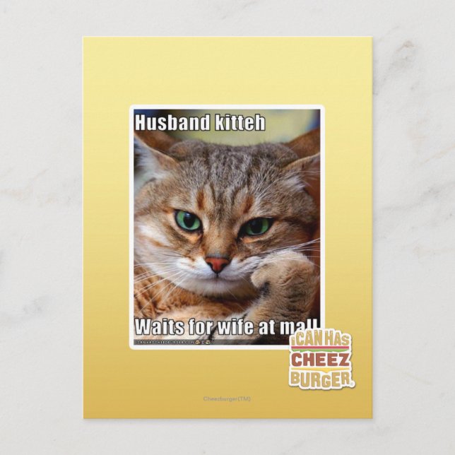 Husband Kitteh Postcard (Front)