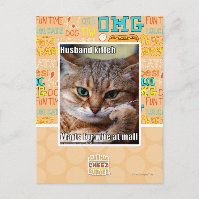 Husband Kitteh Postcard (Front)