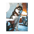 Huskey Pet Dog Photograph