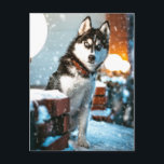 Huskey Pet Dog Photograph Postcard<br><div class="desc">Husky Pet Dog Photograph Postcard</div>