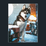Huskey Pet Dog Photograph Postcard<br><div class="desc">Husky Pet Dog Photograph Postcard</div>