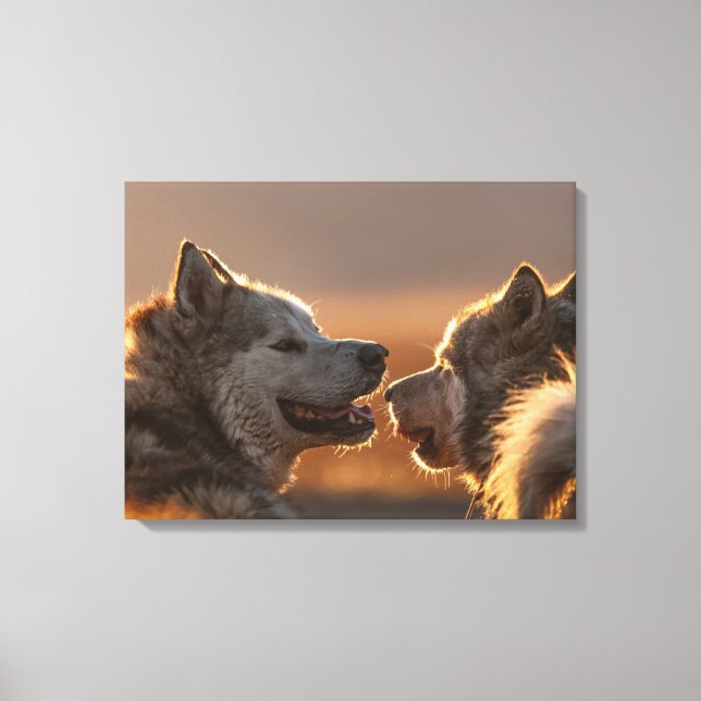 Huskies Dogs Photograph Canvas Print (Front)