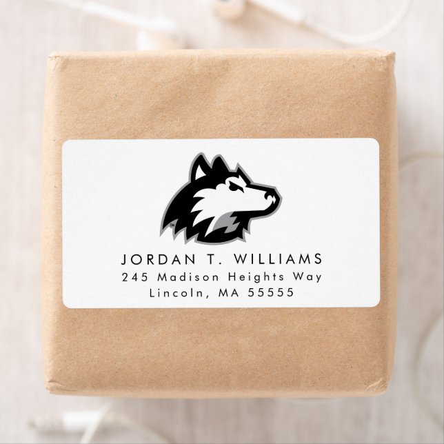Huskies du nord de l'Illinois (En situation)