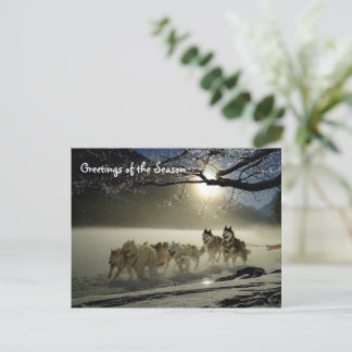 Huskies Husky Holiday Sled Dog Christmas Postcard