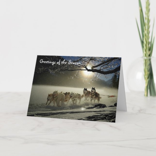 Huskies Sled Dogs Holiday Greeting Card Alaska (Front)