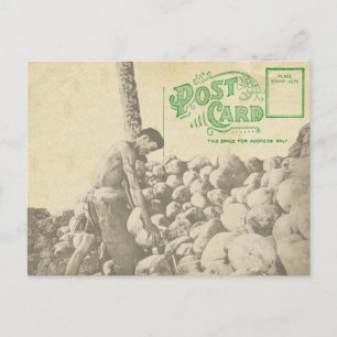 Husking Coconuts - Vintage Singapore Postcard